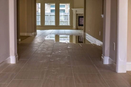 Water Removal Services Roto-rooter-Water Cleanup Services California - Home Floor Filled With Water