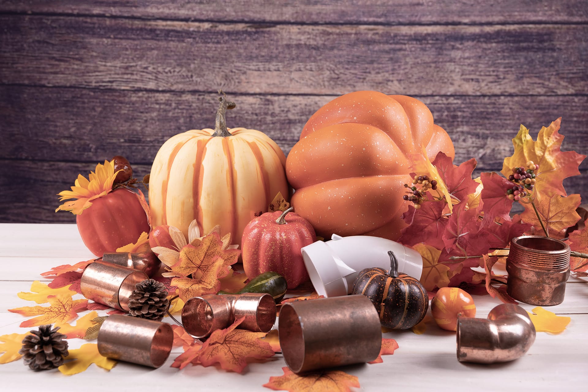 How to Avoid Thanksgiving Plumbing Issues