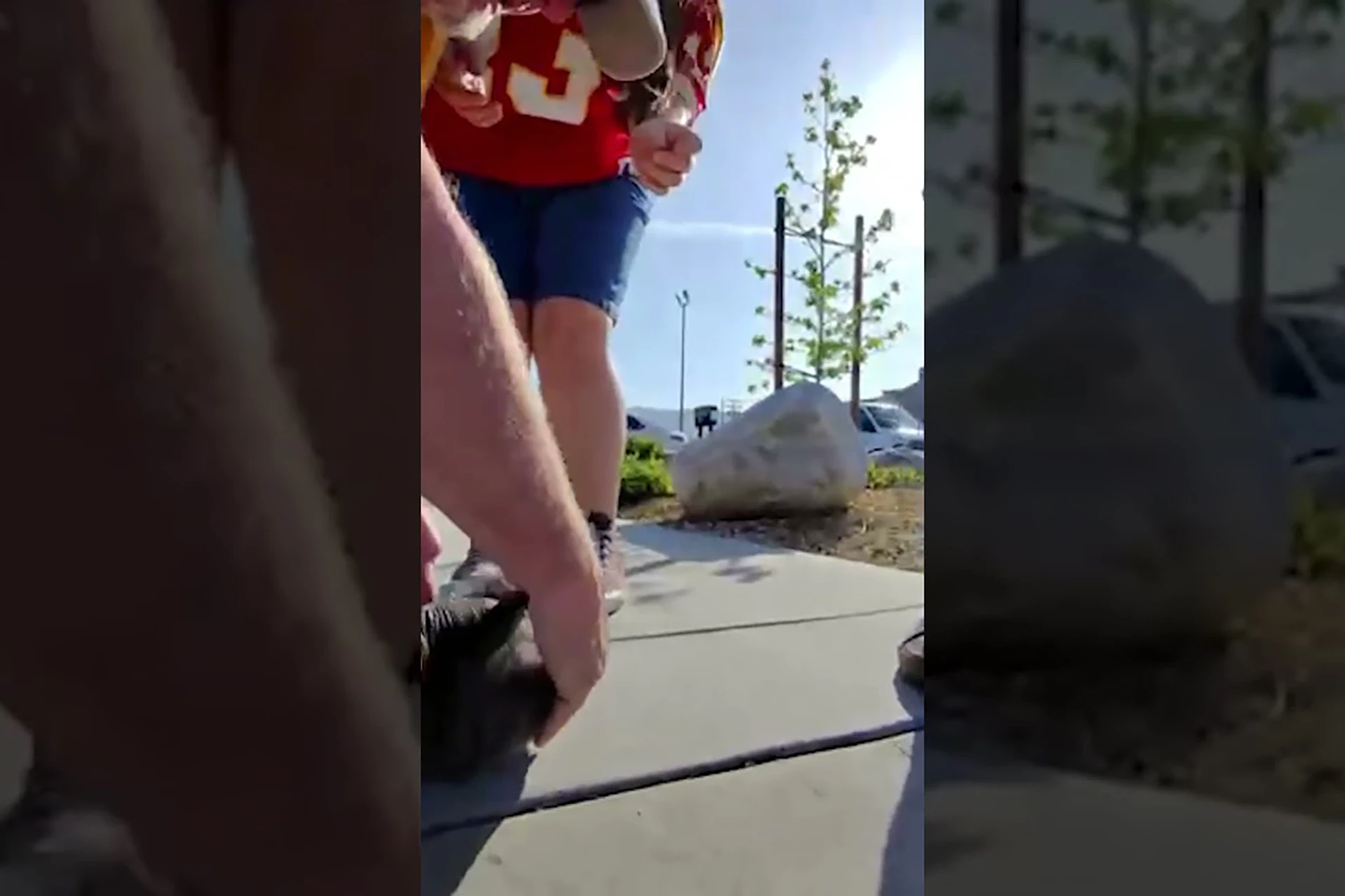 Roto-Rooter Murrieta Saves a Trapped Kitten from a Storm Drain