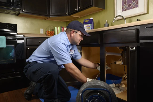 Professional Drain Cleaning Services for a Healthier Home Tech Cleaning Drain