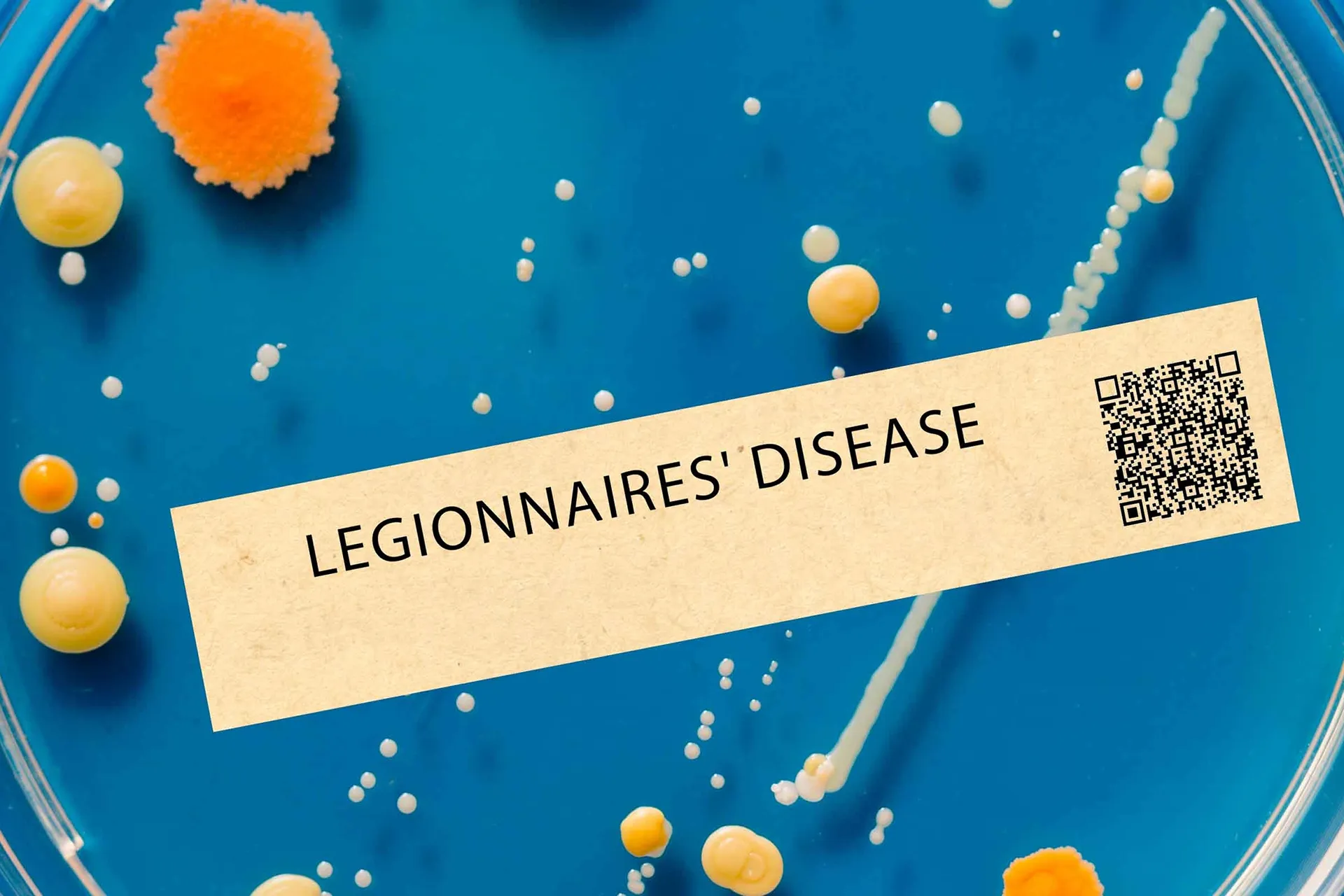 legionnaires desease roto rooter