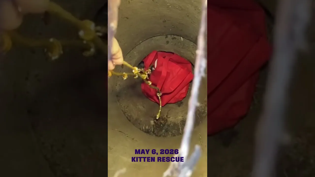 Roto-Rooter Plumbing & Water Cleanup of Fresno Goes Above and Beyond