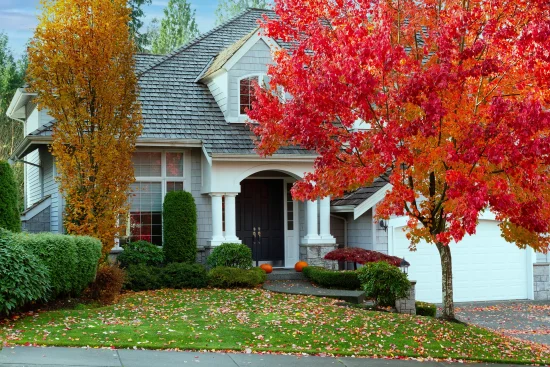 fall plumbing roto rooter
