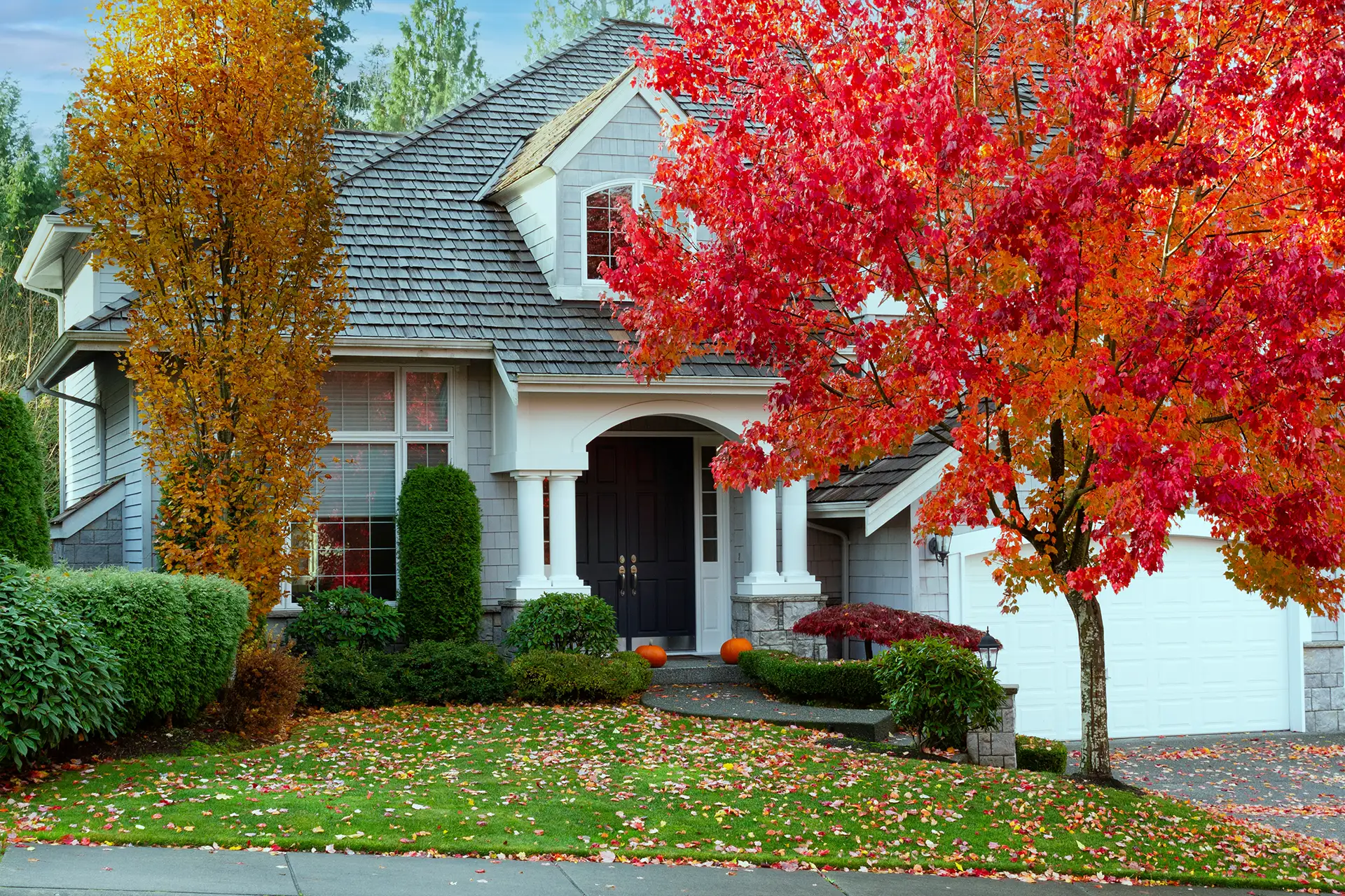 fall plumbing roto rooter